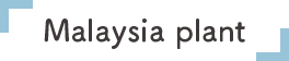 MALAYSIA PLANT MALAYSIA PLANT